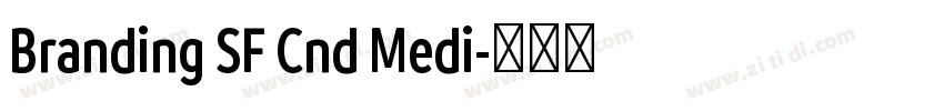 Branding SF Cnd Medi字体转换